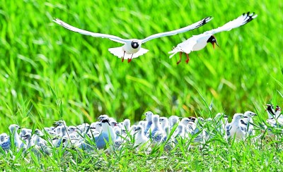 史前第一城 文明新跨越