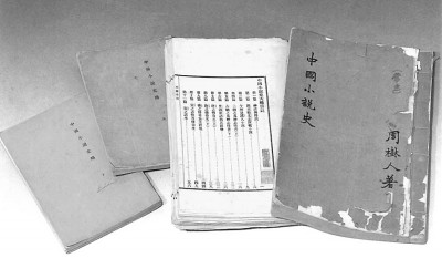 鲁迅:追寻光明而宽阔的人生境界 鲁迅:追寻光明而宽阔的人生境界