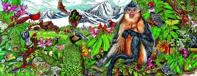 图绘自然：博物绘画在中国