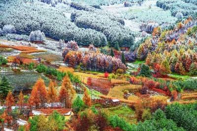 长白山脚下,丰收图景惹人醉 长白山脚下,丰收图景惹人醉