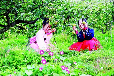 长白山脚下,丰收图景惹人醉 长白山脚下,丰收图景惹人醉