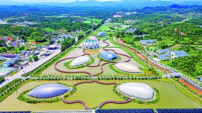 光明文化周末:以“莲”为媒 光明文化周末:以“莲”为媒