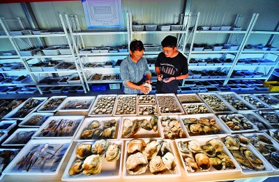 东南沿海先民的生活印记——井头山遗址考古发掘影像纪实