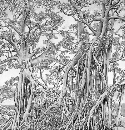 根（工笔重彩）