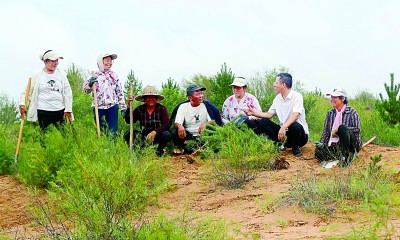 史前第一城 文明新跨越