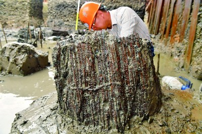 东南沿海先民的生活印记——井头山遗址考古发掘影像纪实