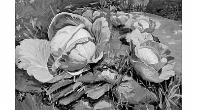 以融媒形式艺术再现长征路上新风貌 以融媒形式艺术再现长征路上新风貌