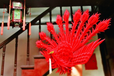 璀璨绒花 盛放荣华 璀璨绒花 盛放荣华