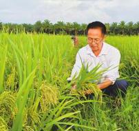 四川农业援非专家杨华德成为感动中国2023年度人物 从中国带去种子 在非洲收获稻浪千重
