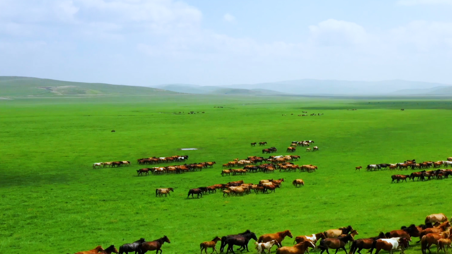 何以模范 | 北疆文化系列专题片:奋进篇 何以模范 | 北疆文化系列专题片:奋进篇