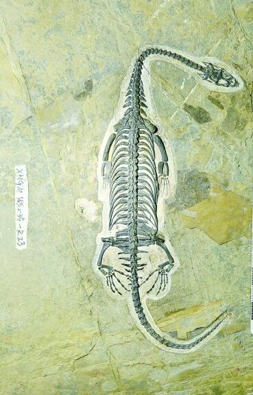 万峰林中寻“龙”踪