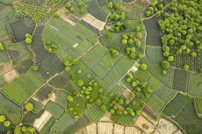 【川茶】从“茗茶”到“名茶” 川茶要走几步？‖林俊 黄依