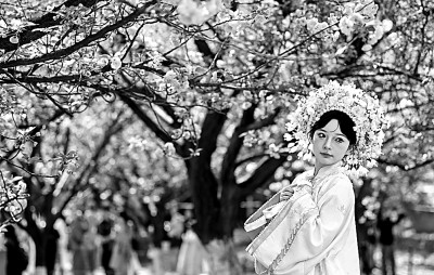 读懂西安“汉服热”背后的文化审美 读懂西安“汉服热”背后的文化审美