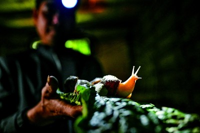 浙江嘉兴：城嘉乡兴百姓富