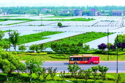浙江嘉兴：城嘉乡兴百姓富