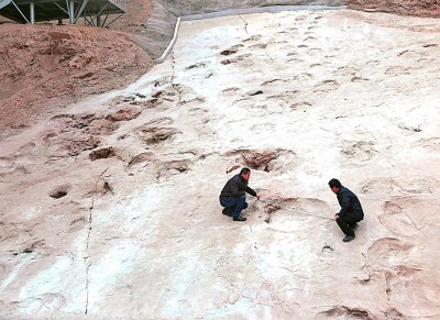 临夏世界地质公园：大河绕丹崖 万峰立河州