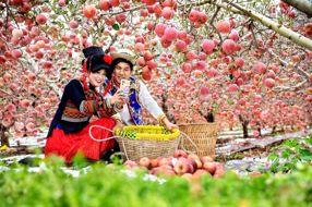 【乡村振兴】人民日报：凉山苹果出山记