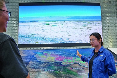 戈壁滩变身光伏牧场