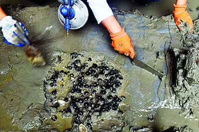 东南沿海先民的生活印记——井头山遗址考古发掘影像纪实