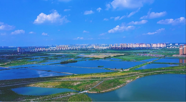 【思想的力量】“只此青绿” ——铺就津沽大地发展底色 【思想的力量】“只此青绿” ——铺就津沽大地发展底色