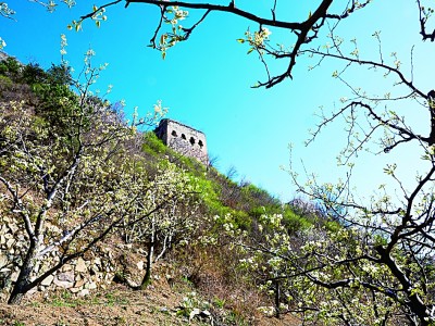 光明文化周末：追逐长城 记录长城