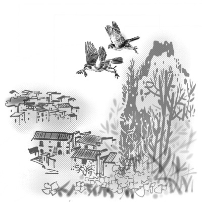 光明日报作品版：白腿小隼笔记