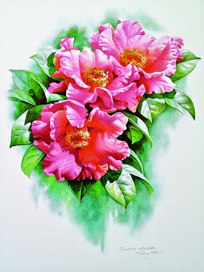 “大自然是永远画不完的”