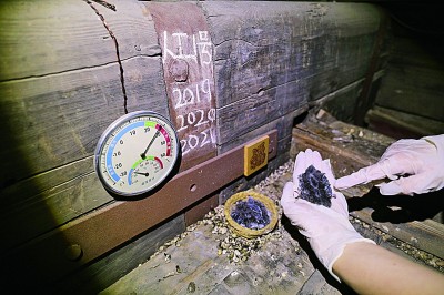 中轴线上的北京雨燕