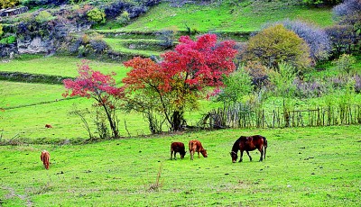 大九寨之秋：多彩童话世界