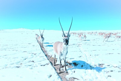 美丽乡村绘就西南新画卷