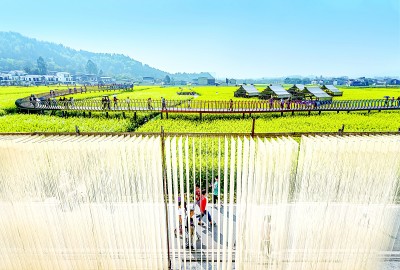 美丽乡村绘就西南新画卷