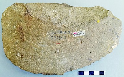 听，古老的石器在说话