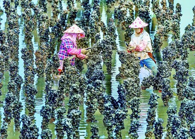 美丽乡村绘就西南新画卷