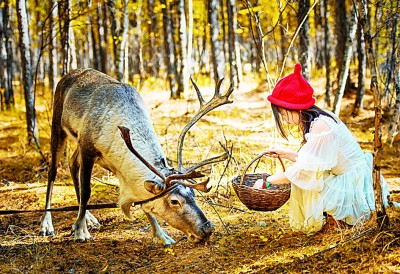 内蒙古：北疆亮丽风景线