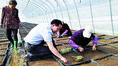 文化自信:激荡百年征程,照亮复兴之路 文化自信:激荡百年征程,照亮复兴之路