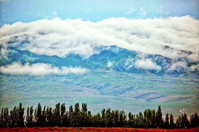 宁夏罗山:旱海中的“绿洲” 宁夏罗山:旱海中的“绿洲”