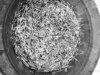 “在延安生活的人都忘不了马兰纸” “在延安生活的人都忘不了马兰纸”