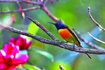 【大美中国】三江并流 大地杰作