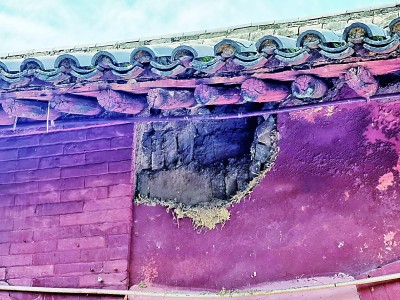 风雨中,文物人在行动 风雨中,文物人在行动