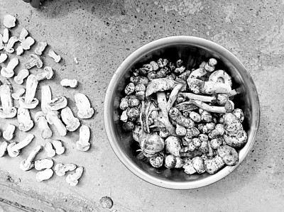 【留住乡愁】拾蘑菇