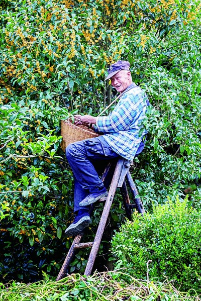 苏州太湖生态岛：为太湖增添美丽色彩