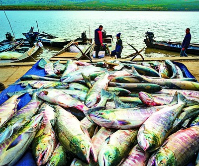 【大美中国】迎一轮红日 赴东极之约