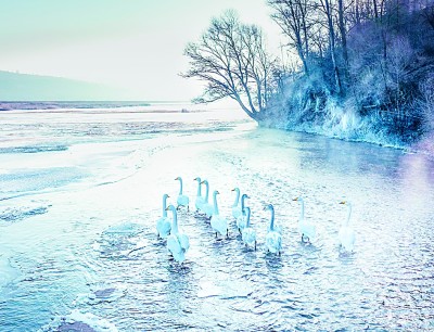 史前第一城 文明新跨越