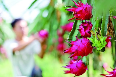 【节气里的韵味中国】立秋未觉凉，残暑日犹长