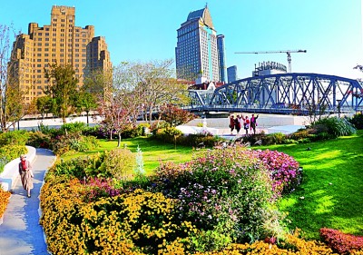 苏州河40年蝶变记