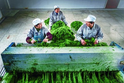 小农机助力大产业 小农机助力大产业