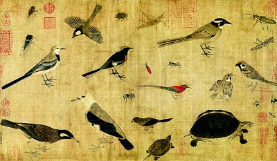 图绘自然：博物绘画在中国