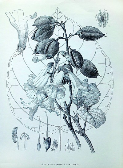 “大自然是永远画不完的”