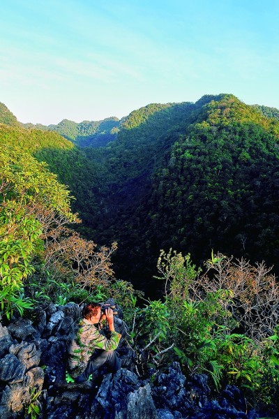 秘境深林 追猿之旅