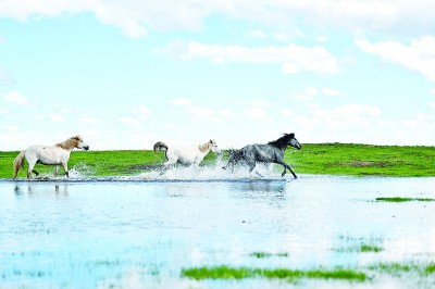 建好用好国家文化公园——激活文旅资源 传承中华文脉